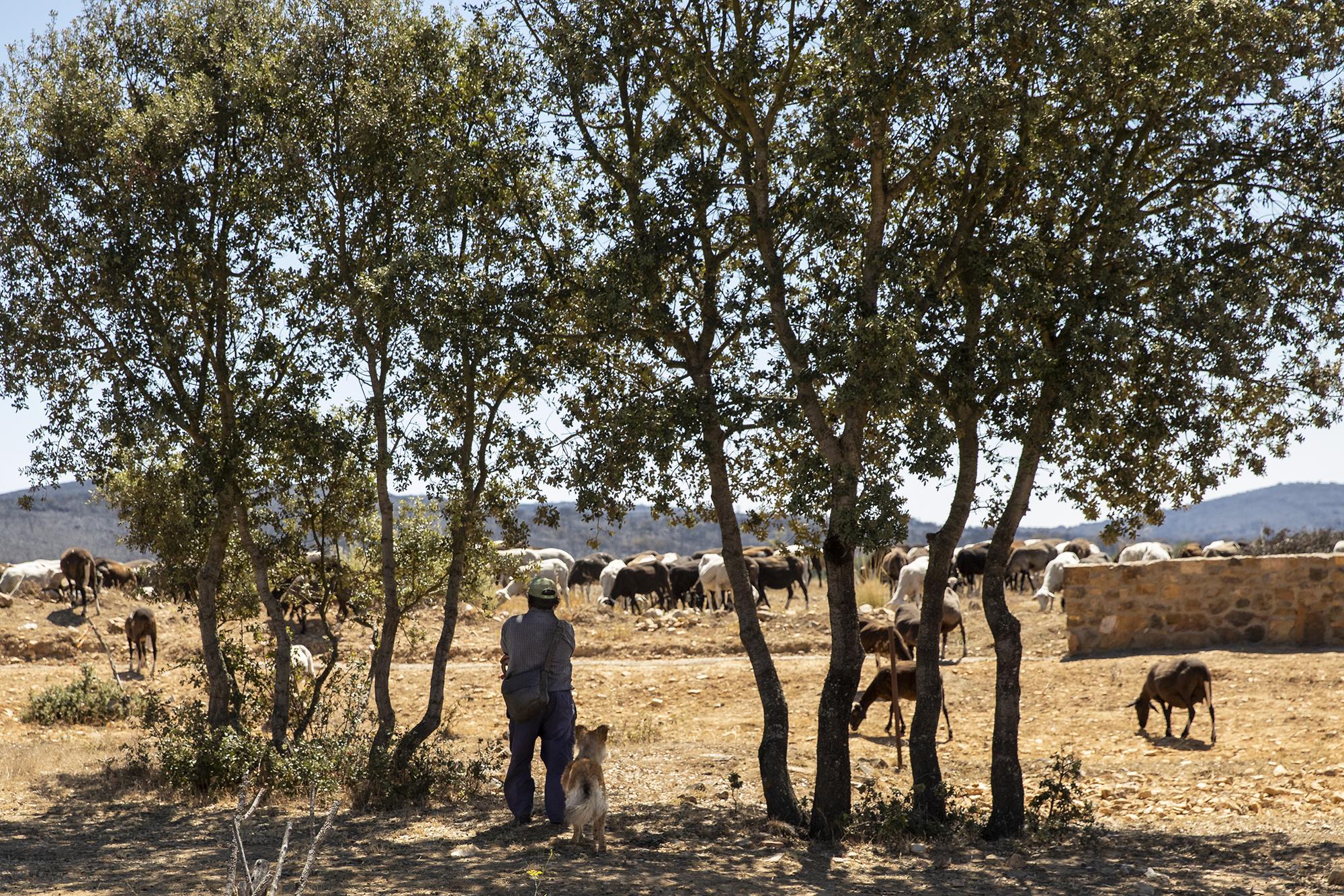 Geografía calcinada enfoques - 5